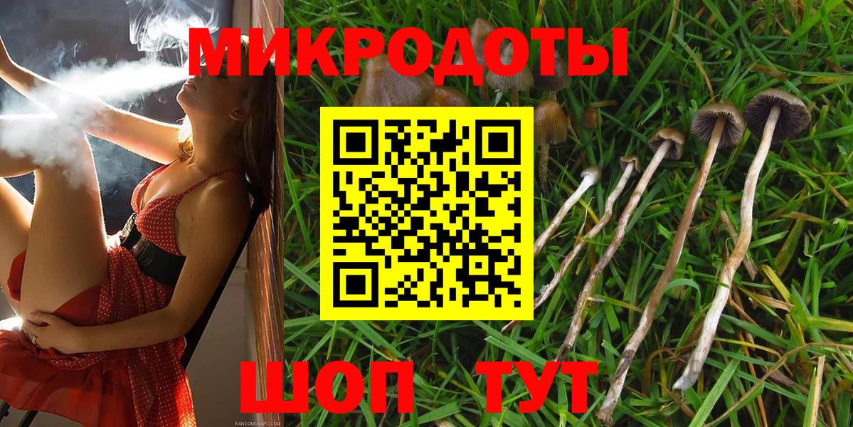 Псилоцибиновые грибы мицелий  Псилоцибиновые грибы мухоморы  Вход с VPN  Астрахань 