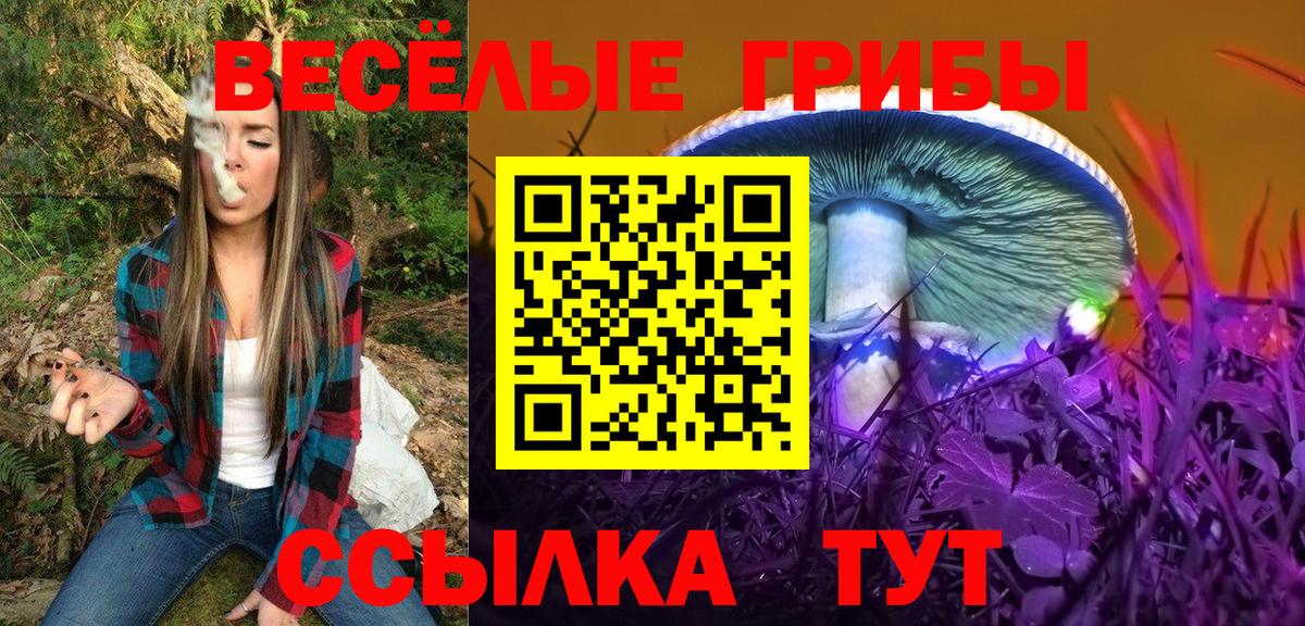 Псилоцибиновые грибы Psilocybe Астрахань
